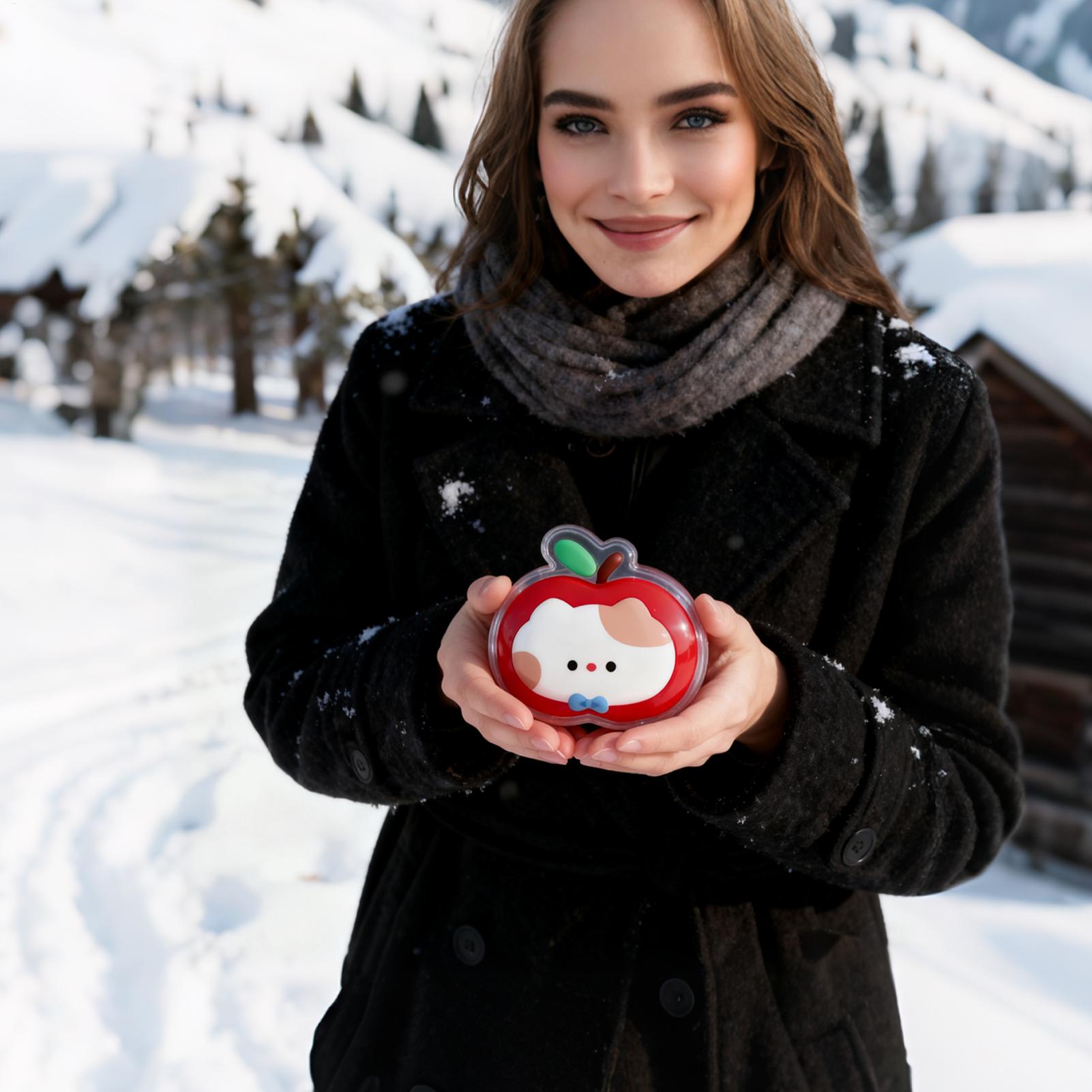 ポケットウォーマー 再利用可能 長持ち 自然無臭 ホットハン - Hand Warmer Reusable のレビューと価格